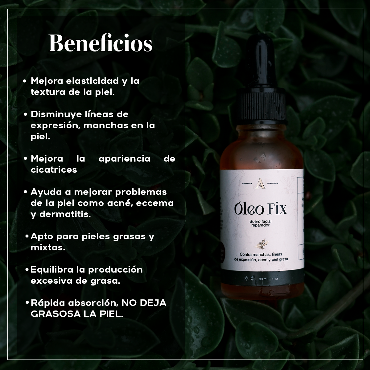 Kit Reparador – Rutina Natural para Regenerar y Nutrir tu Piel
