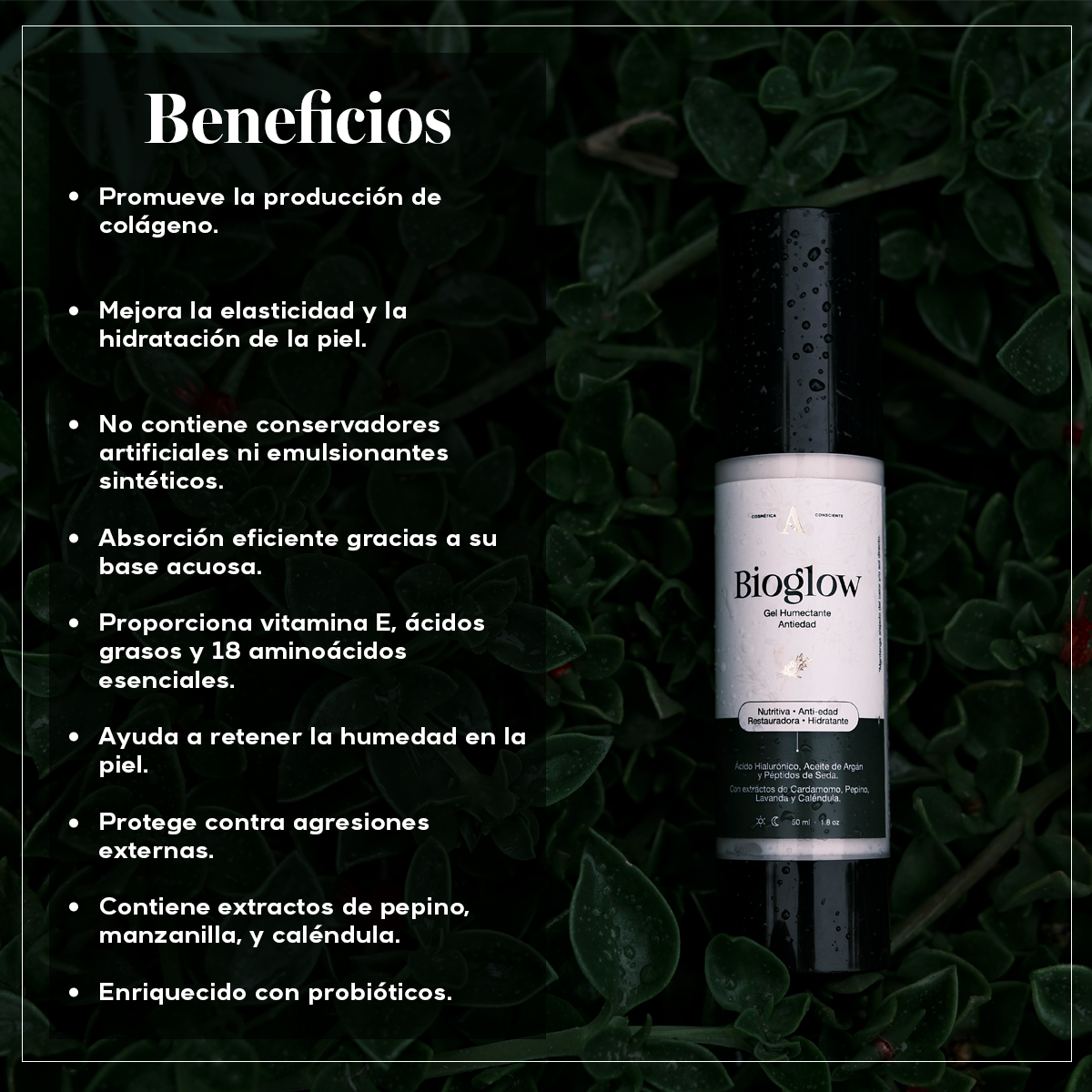 BIOGLOW - Crema Antiarrugas