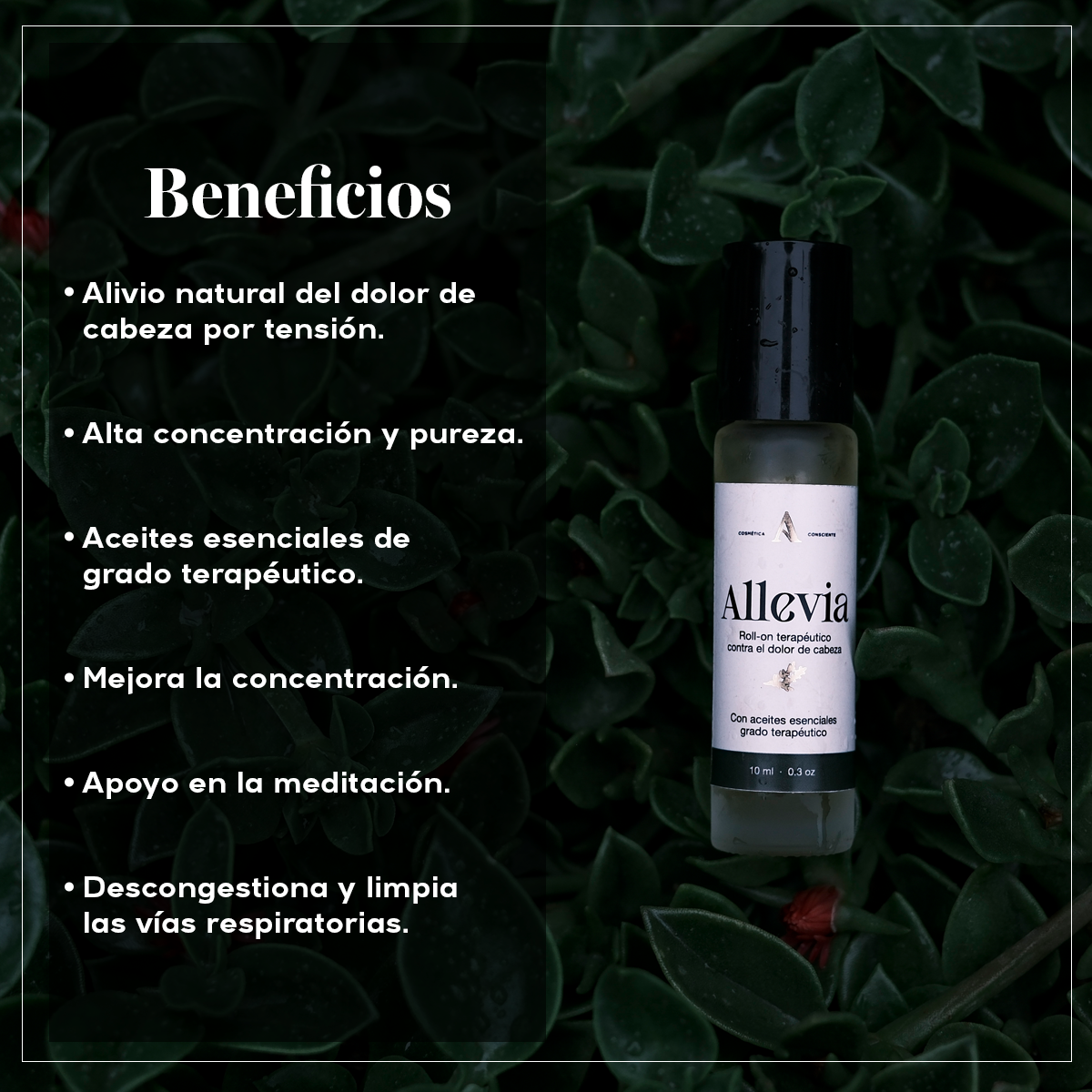 ALLEVIA - Aceite para Dolor de Cabeza