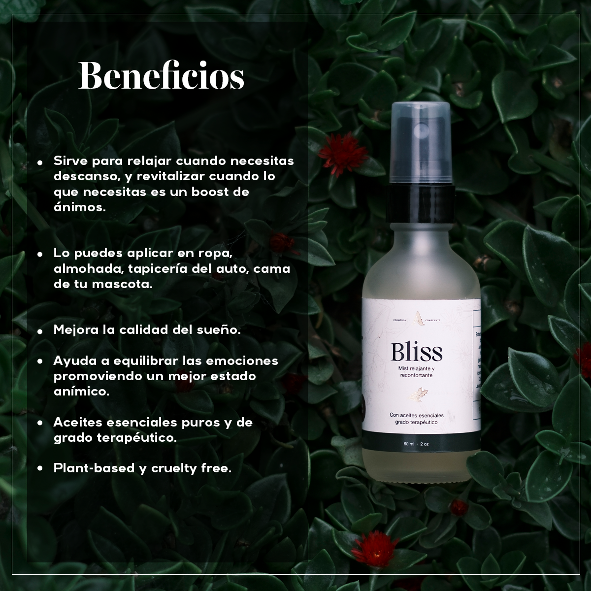 BLISS Mist - Spray Relajante para Dormir