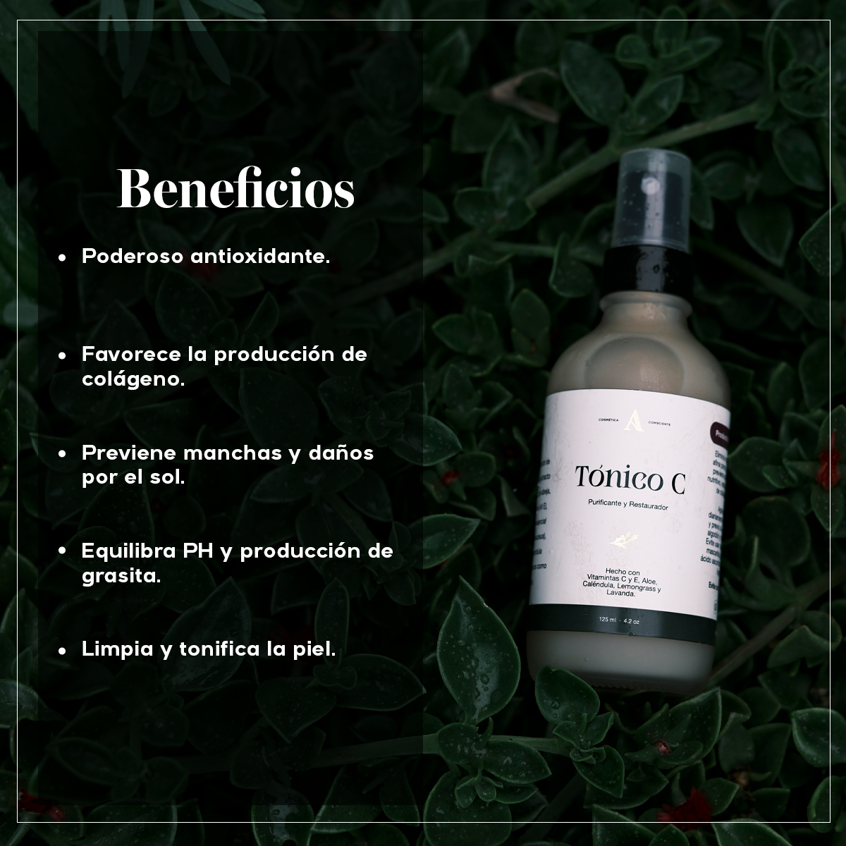TONICO C Mist - Limpiador Facial Diario