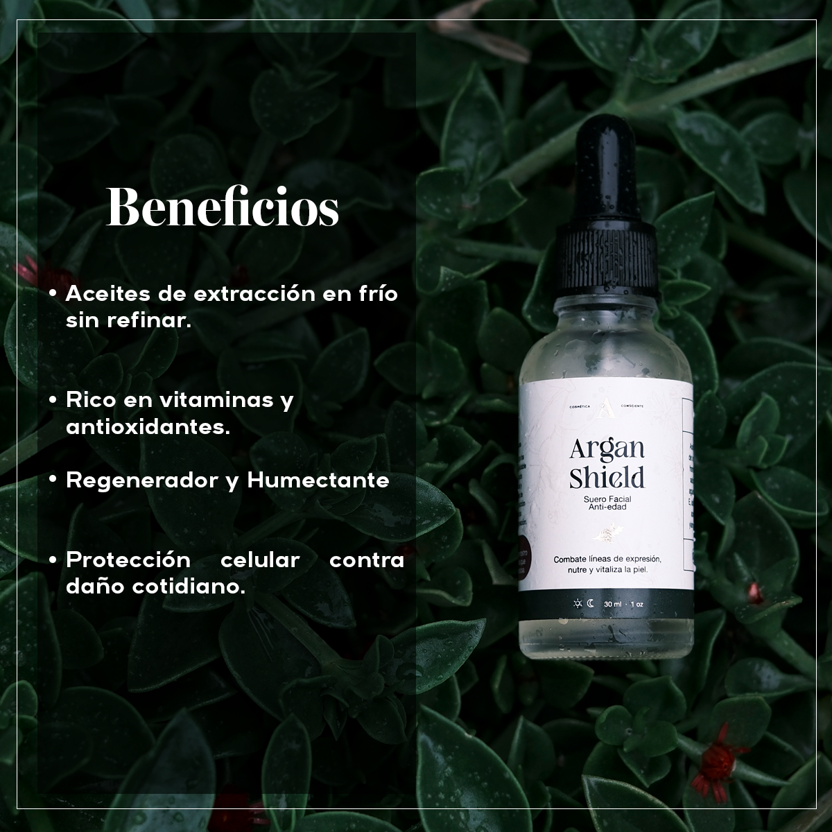 ARGAN SHIELD - Suero Antiedad
