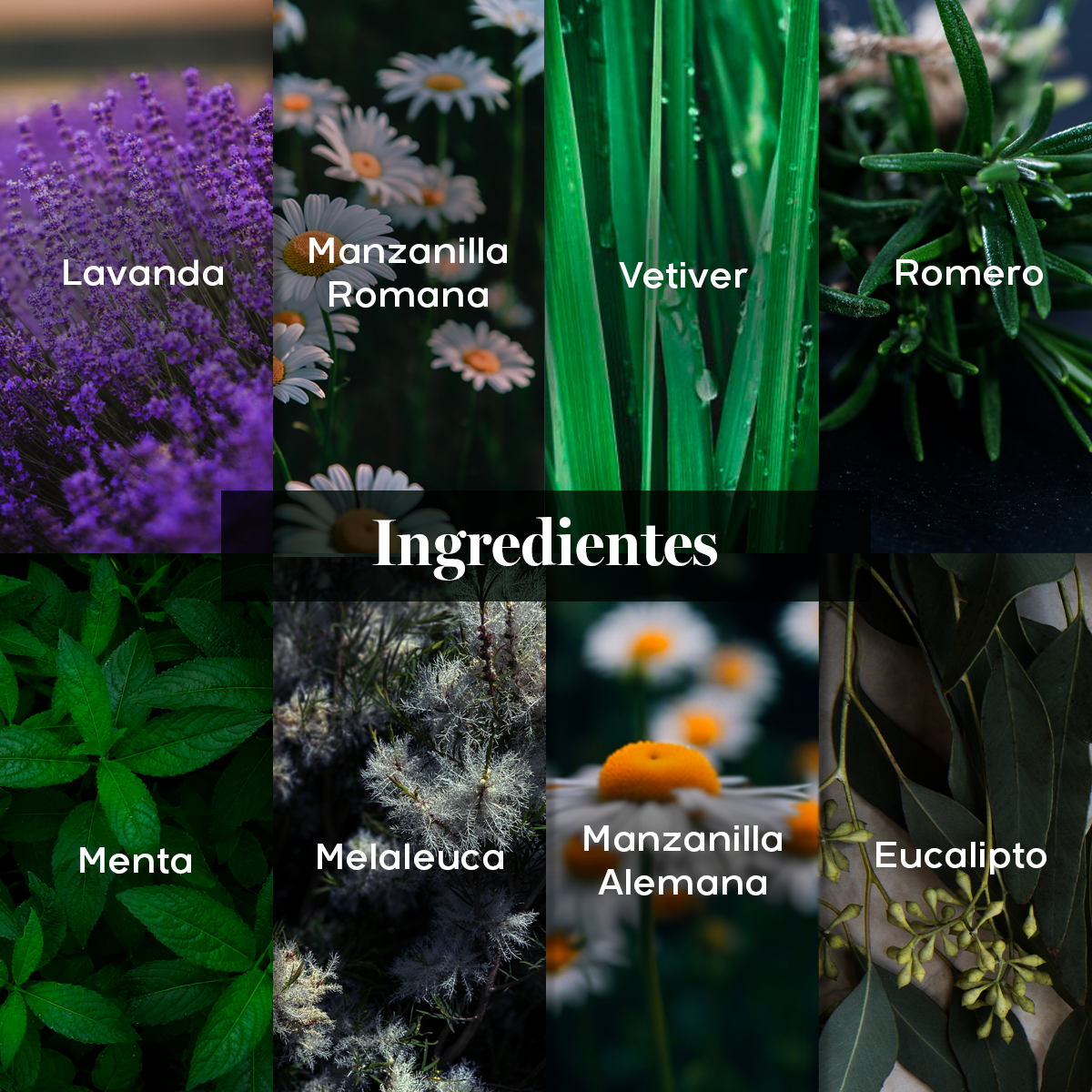 ALLEVIA - Aceite para Dolor de Cabeza