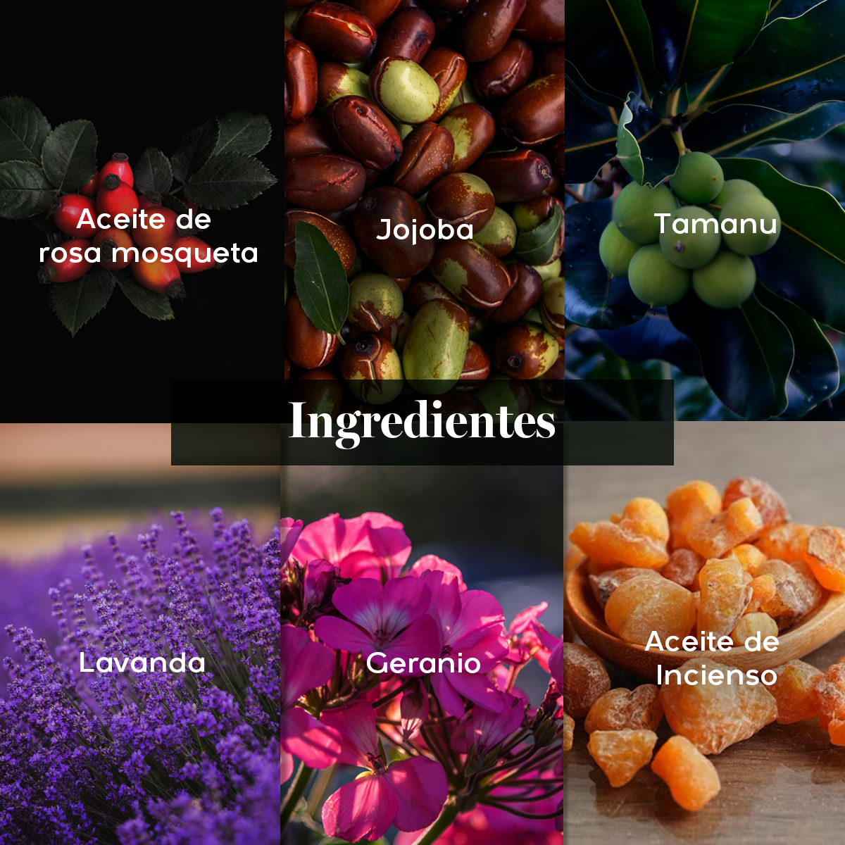 Kit Reparador – Rutina Natural para Regenerar y Nutrir tu Piel