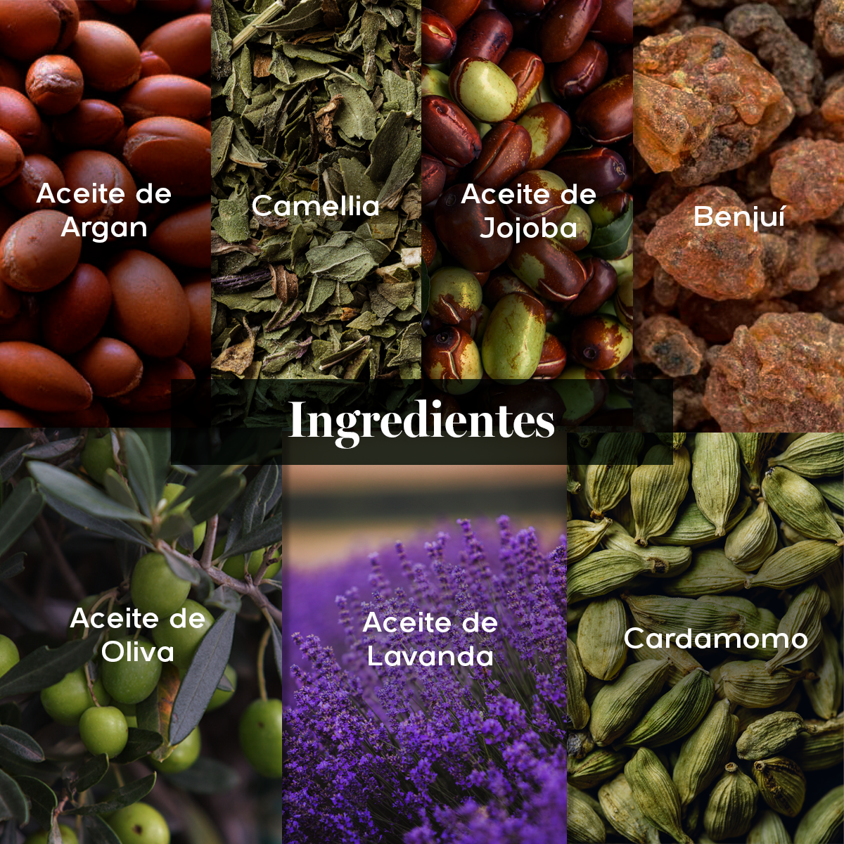 BIOGLOW - Crema Antiarrugas