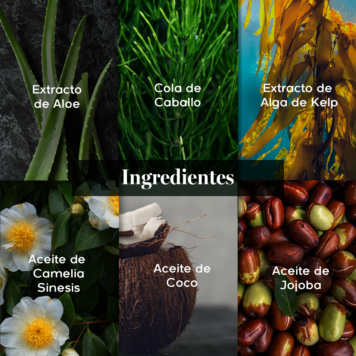 INVIGOR - Suero Capilar Reparador